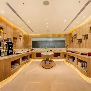 Oasis Grand Near Igi Delhi Airport New Delhi